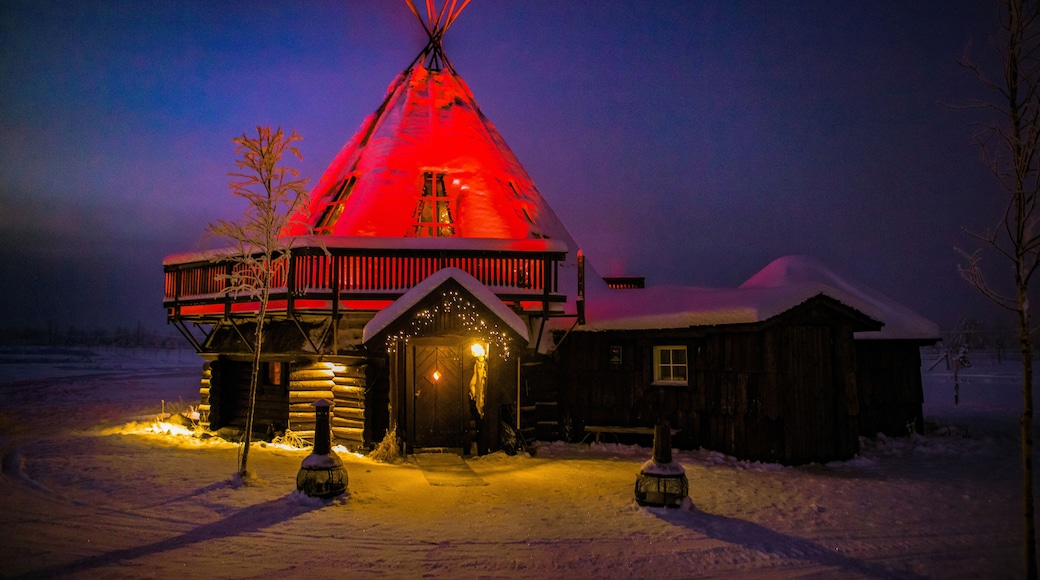 カクシラウッタネン