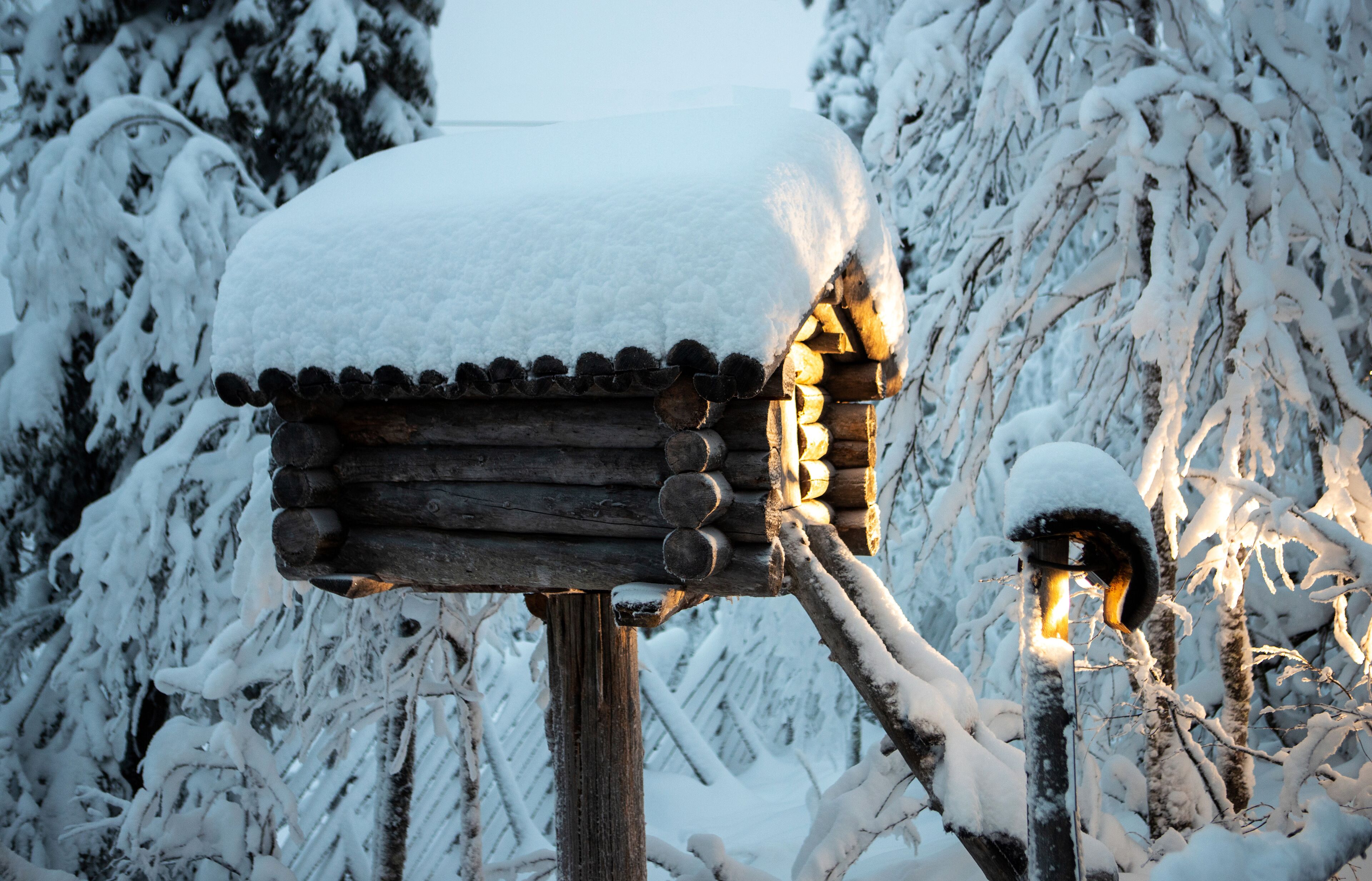 カクシラウッタネン