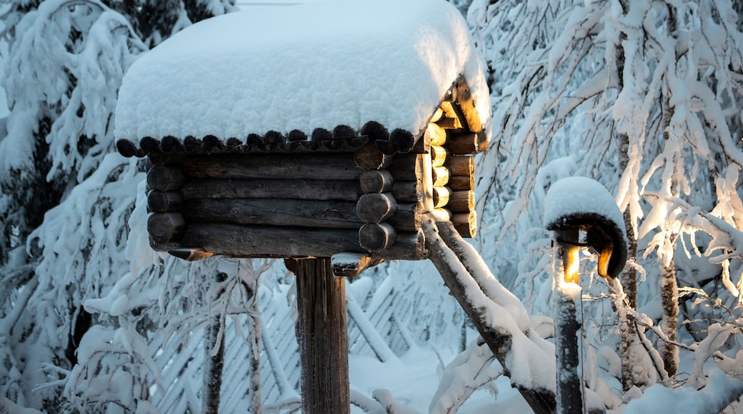 カクシラウッタネン