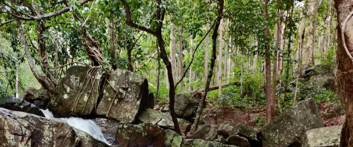 Beautiful falls amidst forest of maredu. This place has lot of monkeys though!!!