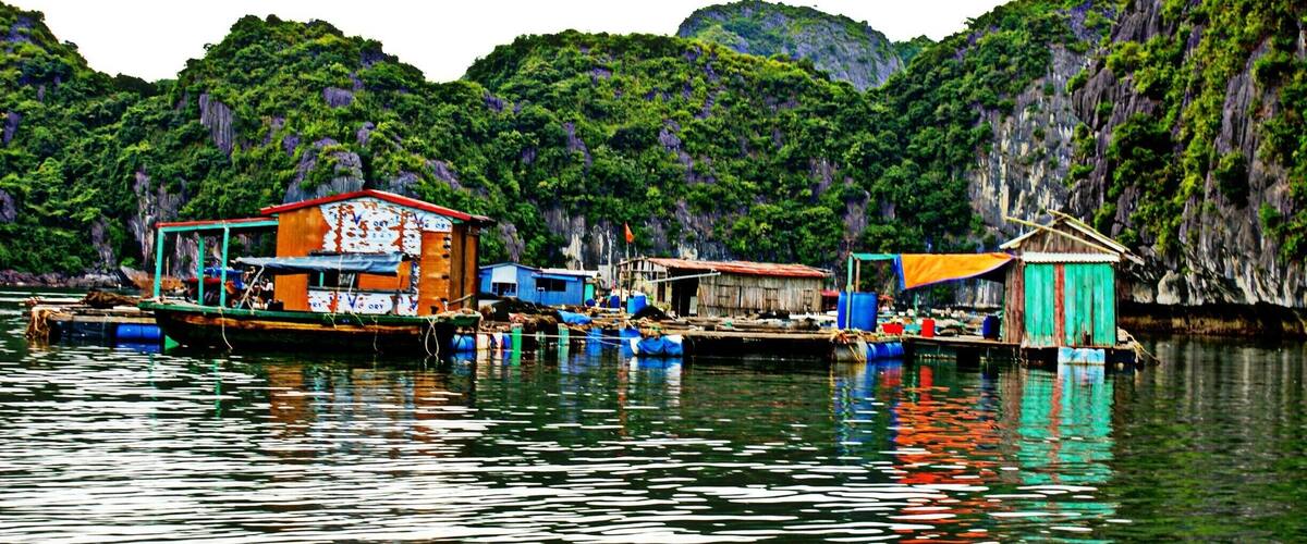 great day tour from Cat Ba Island