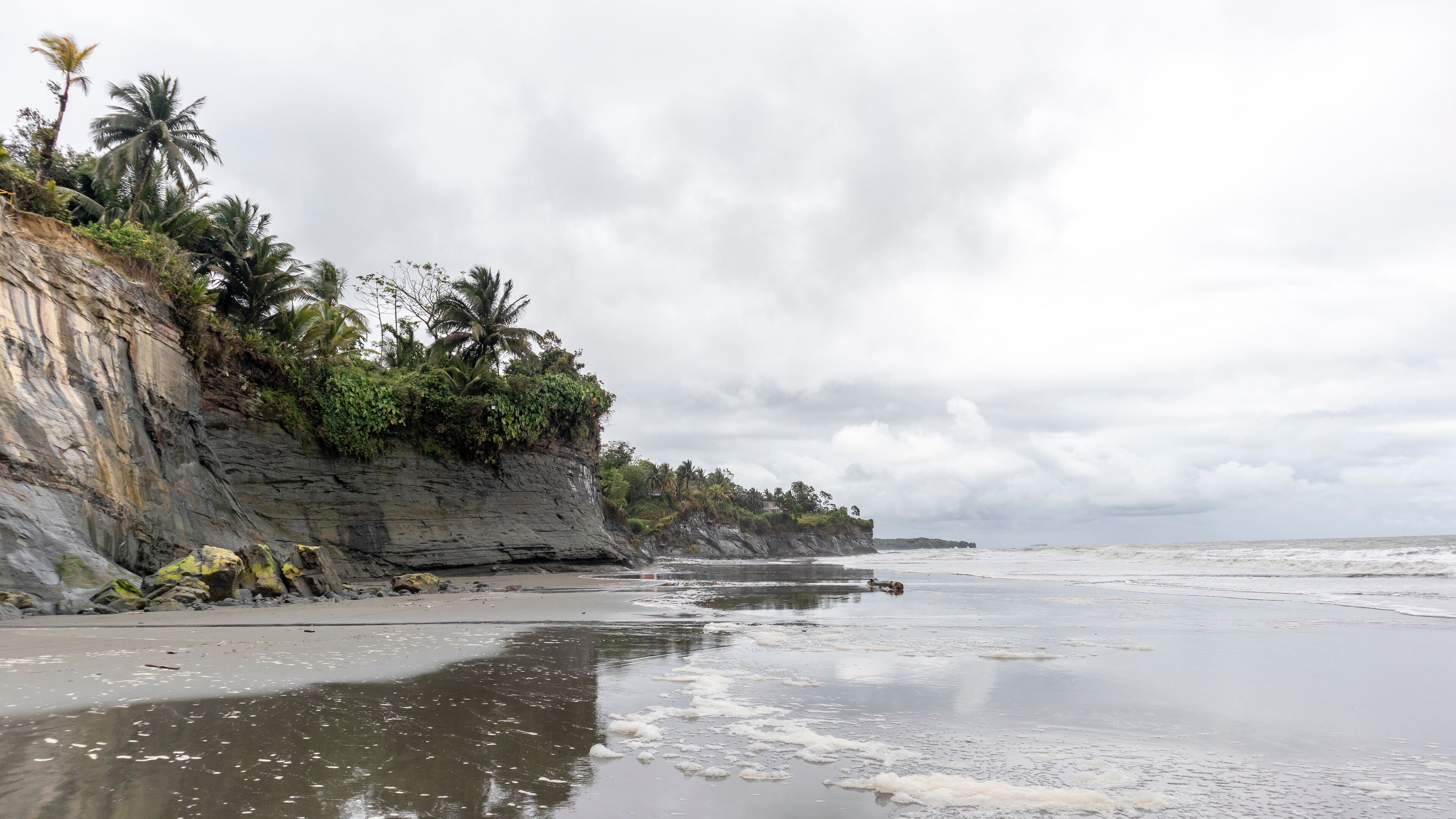 A rocky coastline with palm trees and a cloudy sky.