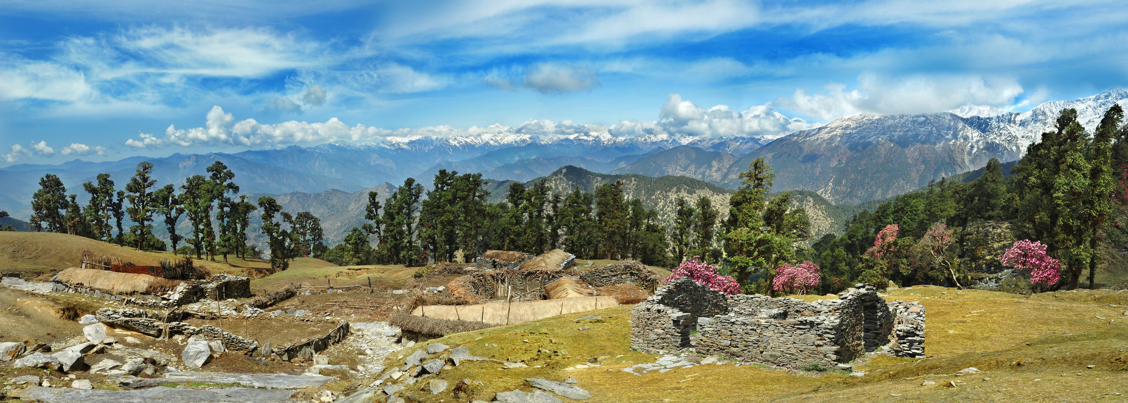 Chopta