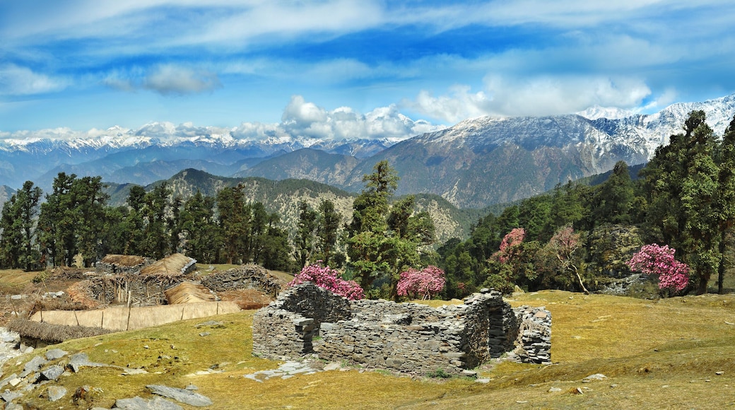 Chopta