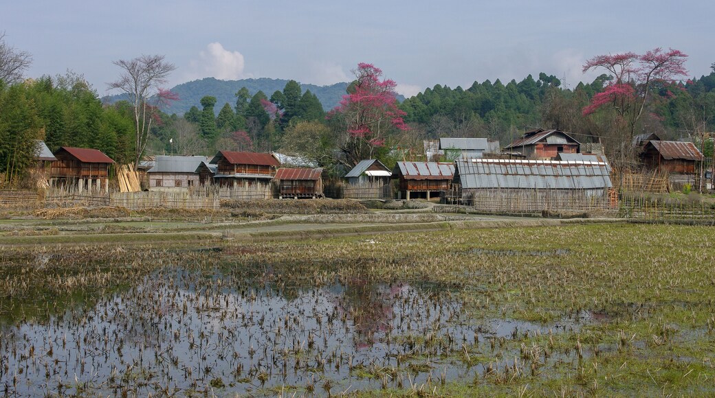 Ziro