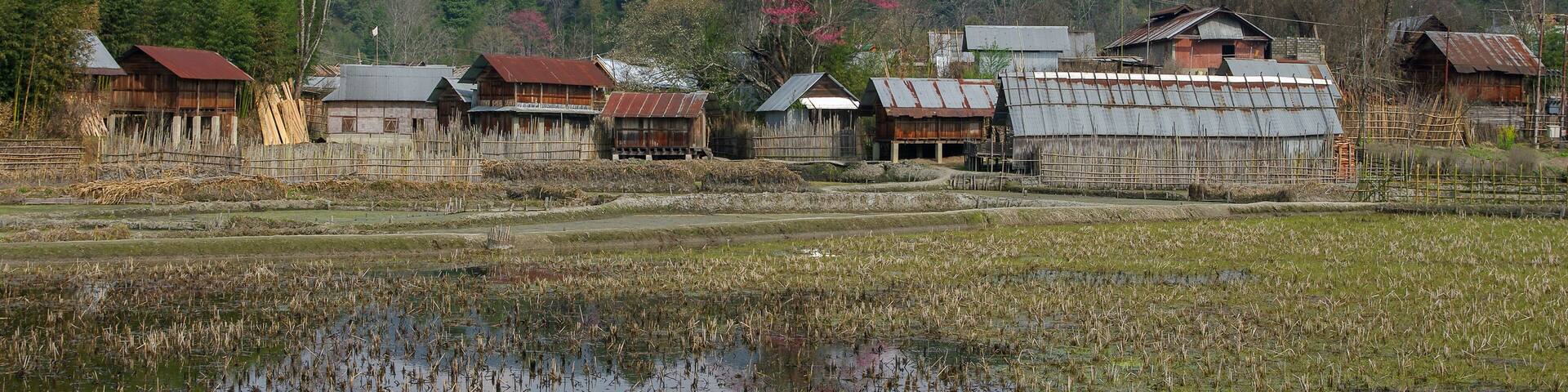 Landscape view of Apatani tribal village in spring with beautiful bright pink blooming trees reflection in water and forested mountain background, Ziro, Arunachal Pradesh, India