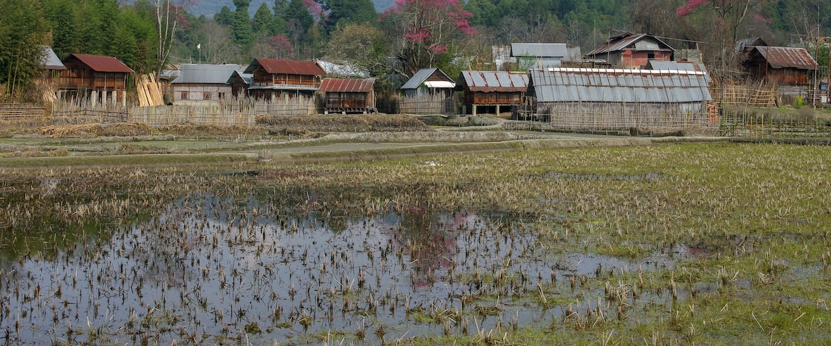 A rural landscape with traditional wooden houses, a rice paddy field, and a backdrop of mountains and trees.