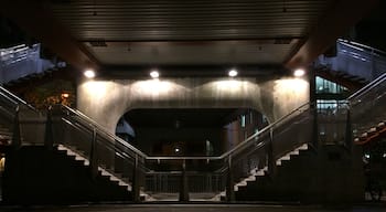 Luas Bridge after rush hour