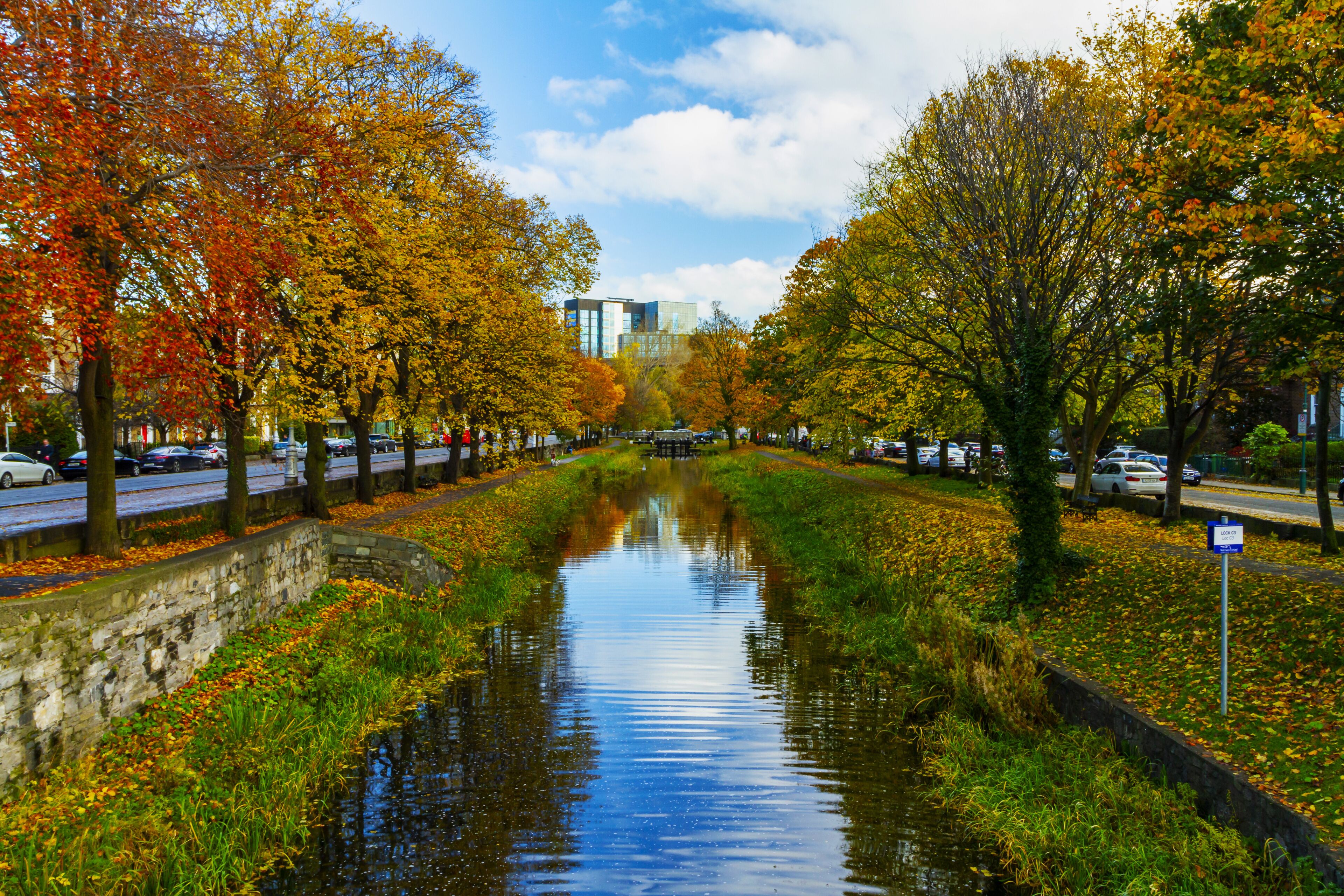 View from Huband Bridge Grand Canal Dublin with colorful Autumn / fall foliage, showing towpaths along canal banks, trees and grass. Canal lock C3