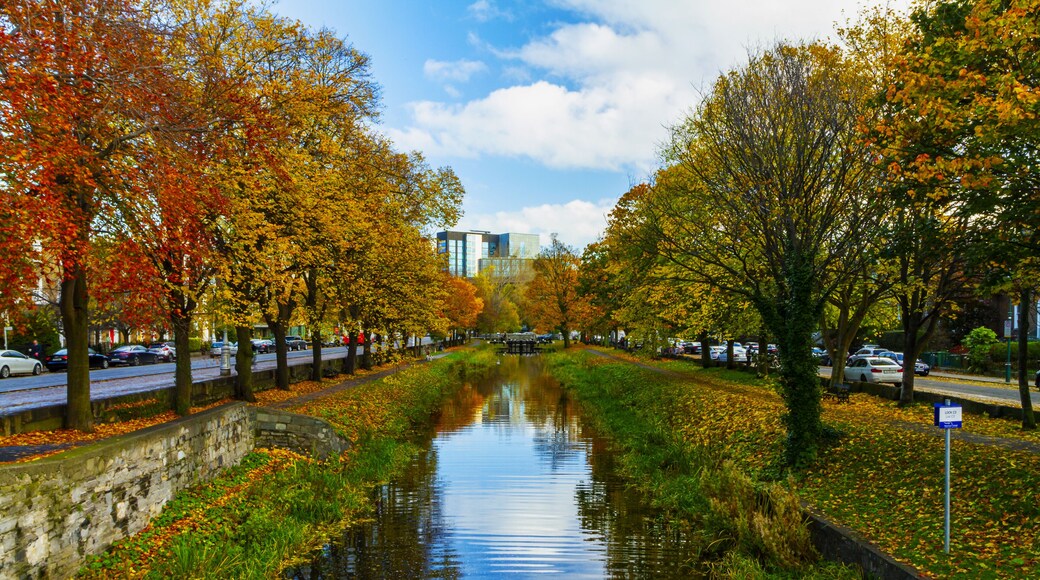 View from Huband Bridge Grand Canal Dublin with colorful Autumn / fall foliage, showing towpaths along canal banks, trees and grass. Canal lock C3