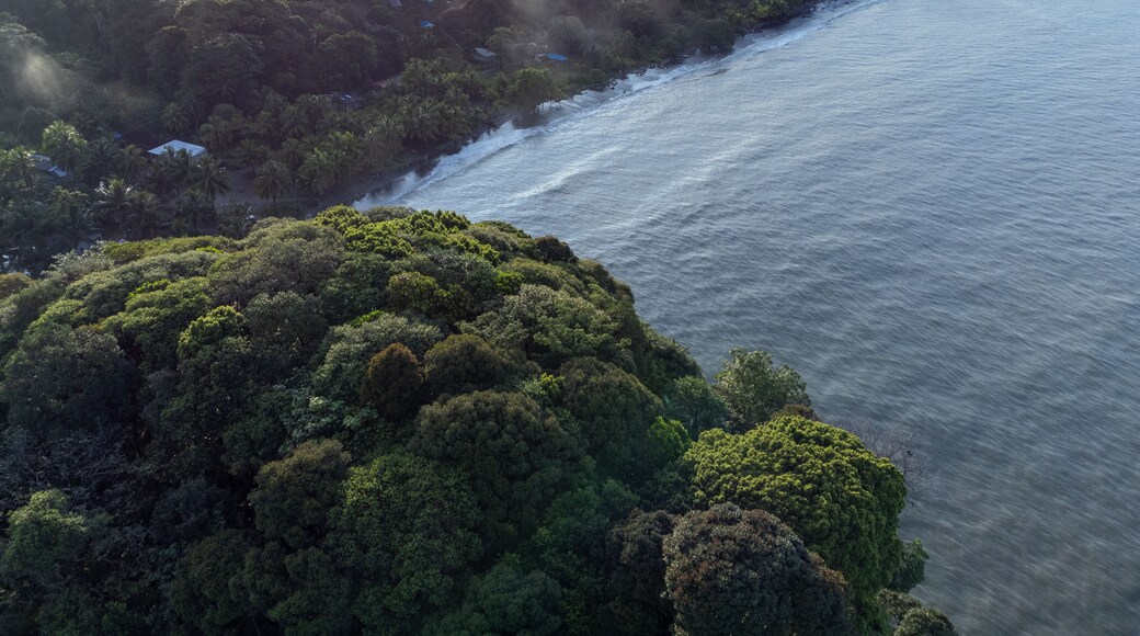pianguita one morning from above