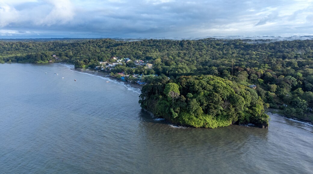 pianguita a view from above