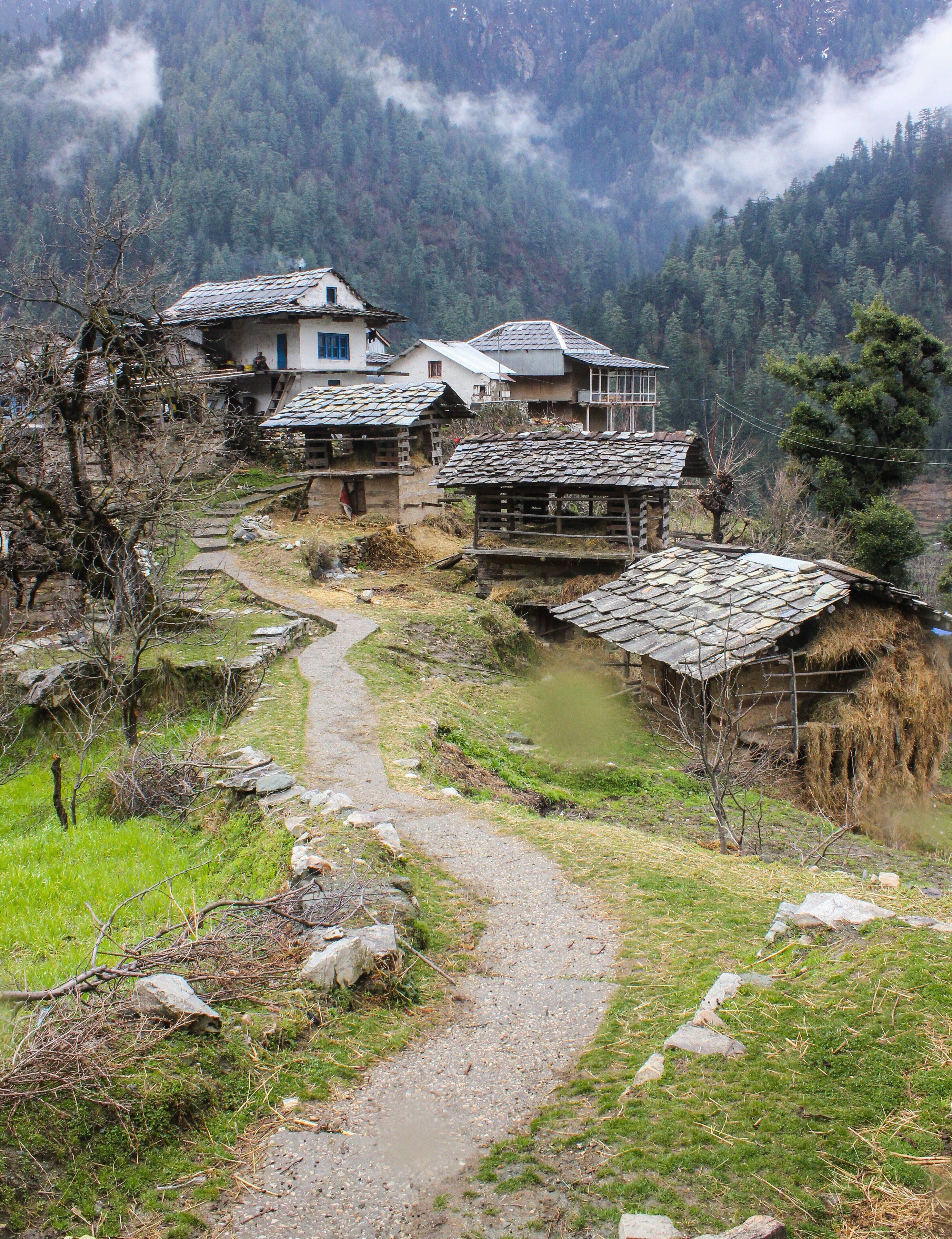 A rural village with traditional houses, a stone path, and a mountainous backdrop.