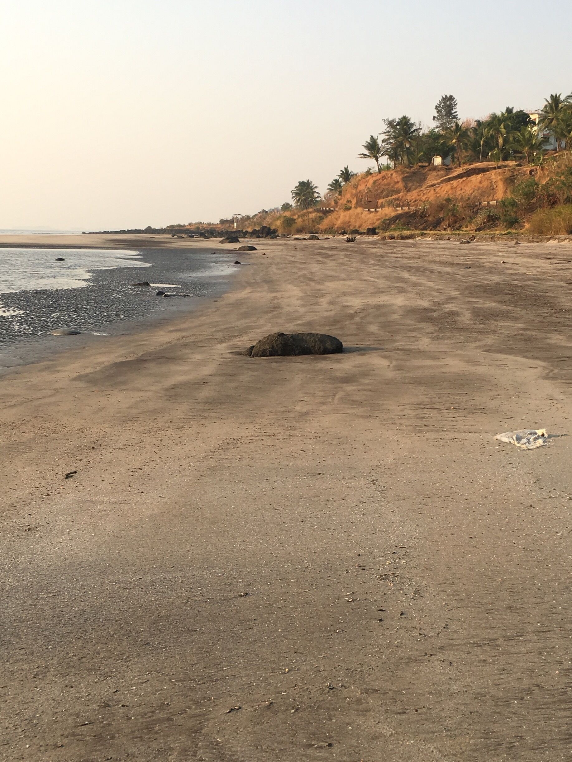 A sandy beach with scattered rocks and a few palm trees in the background.