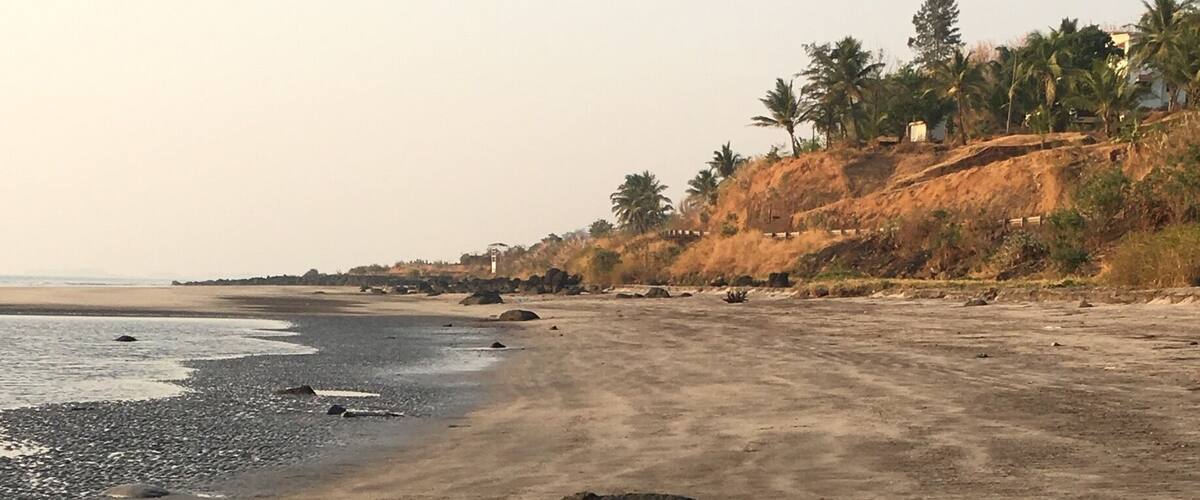 A sandy beach with scattered rocks and a few palm trees in the background.