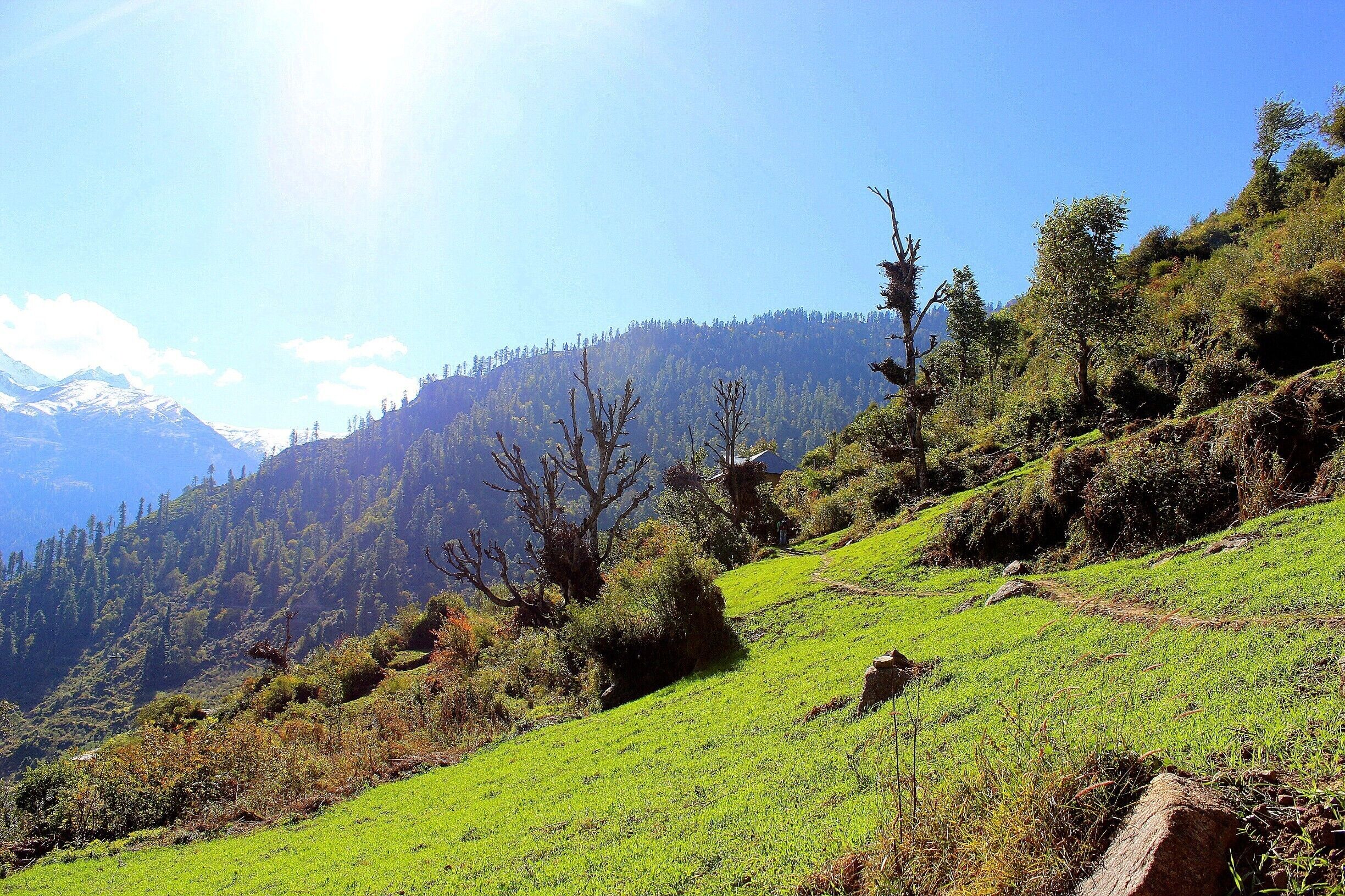 Lovely trek through the spellbinding village named Tosh of Himachal Pardesh with fresh cool air, mighty mountains, green pastures and warm sunshine all around. #hiking 