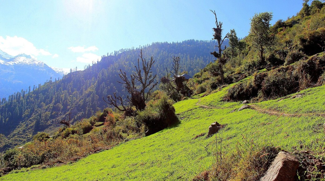 Lovely trek through the spellbinding village named Tosh of Himachal Pardesh with fresh cool air, mighty mountains, green pastures and warm sunshine all around. #hiking