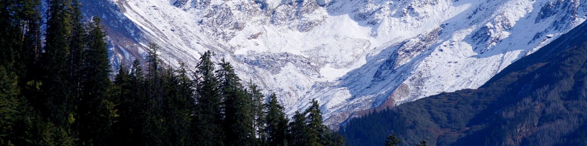 Sun shines over the mighty #snow clad mountains of Himalayas with pine trees giving a beautiful contrast. This early #snow gives a perfect mix of white and green landscape, soothing the soul.