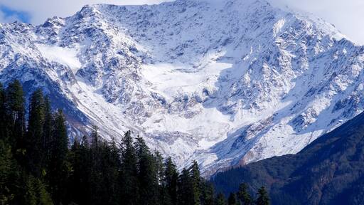 Sun shines over the mighty #snow clad mountains of Himalayas with pine trees giving a beautiful contrast. This early #snow gives a perfect mix of white and green landscape, soothing the soul.