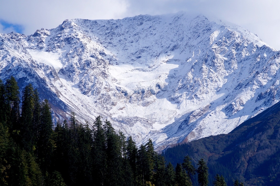 Sun shines over the mighty #snow clad mountains of Himalayas with pine trees giving a beautiful contrast. This early #snow gives a perfect mix of white and green landscape, soothing the soul.