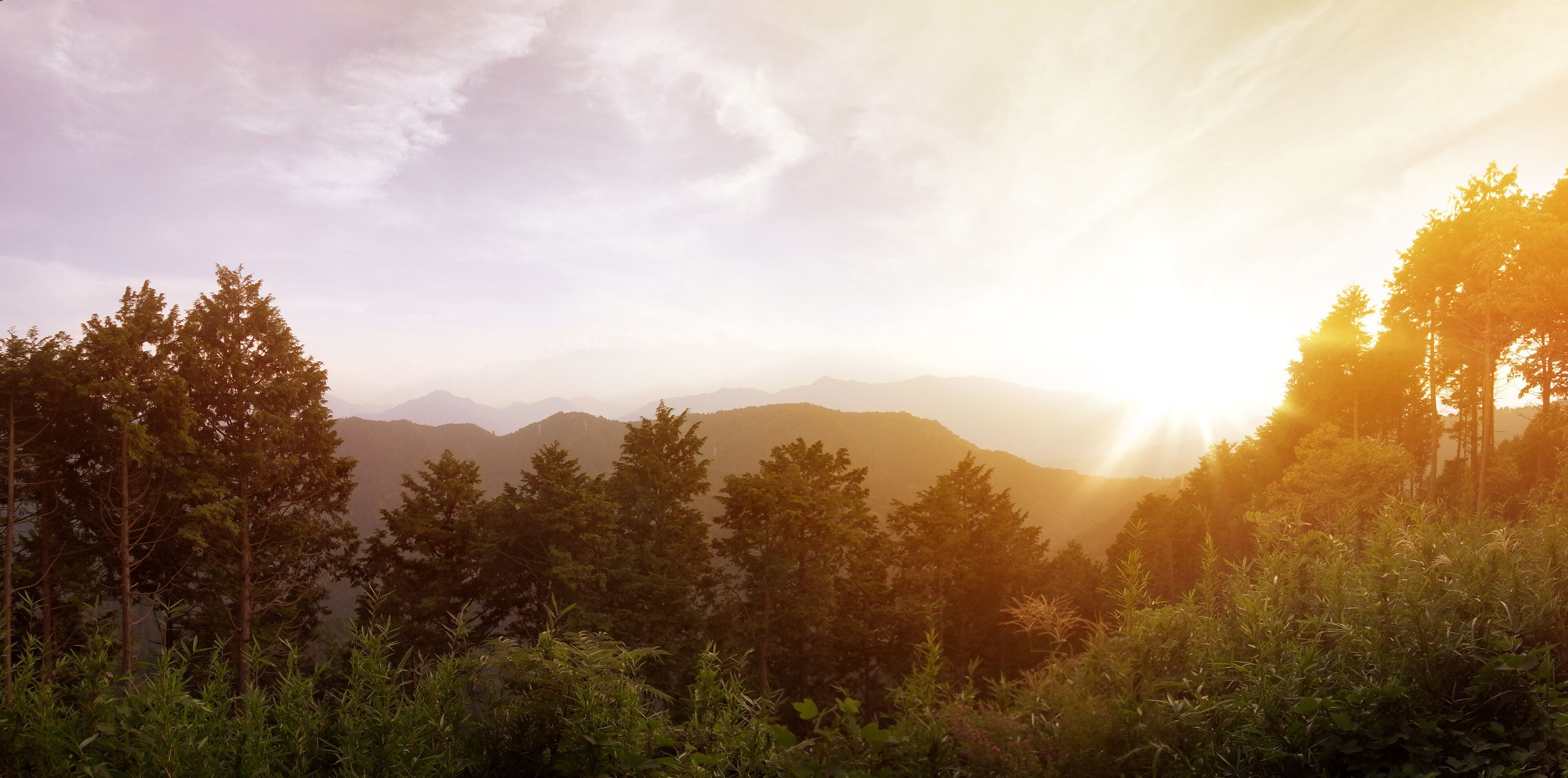 A mountainous landscape with dense forests and a clear sky.