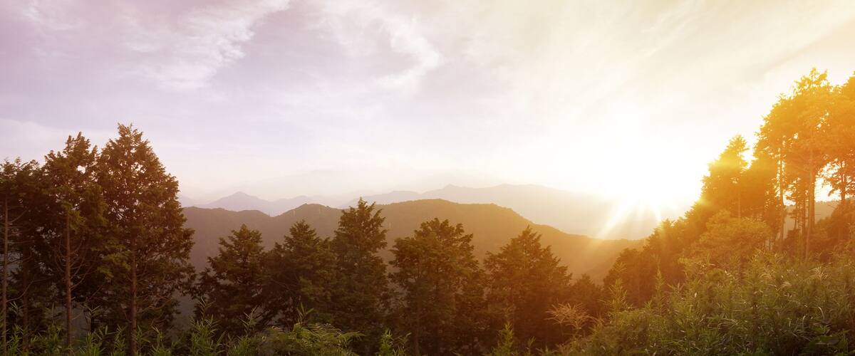 A mountainous landscape with dense forests and a clear sky.