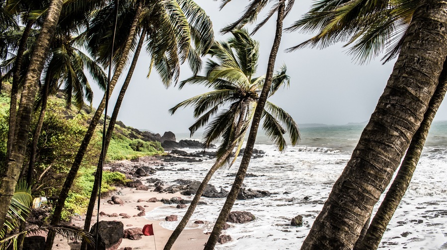 Una playa con palmeras, costa rocosa y olas del océano.
