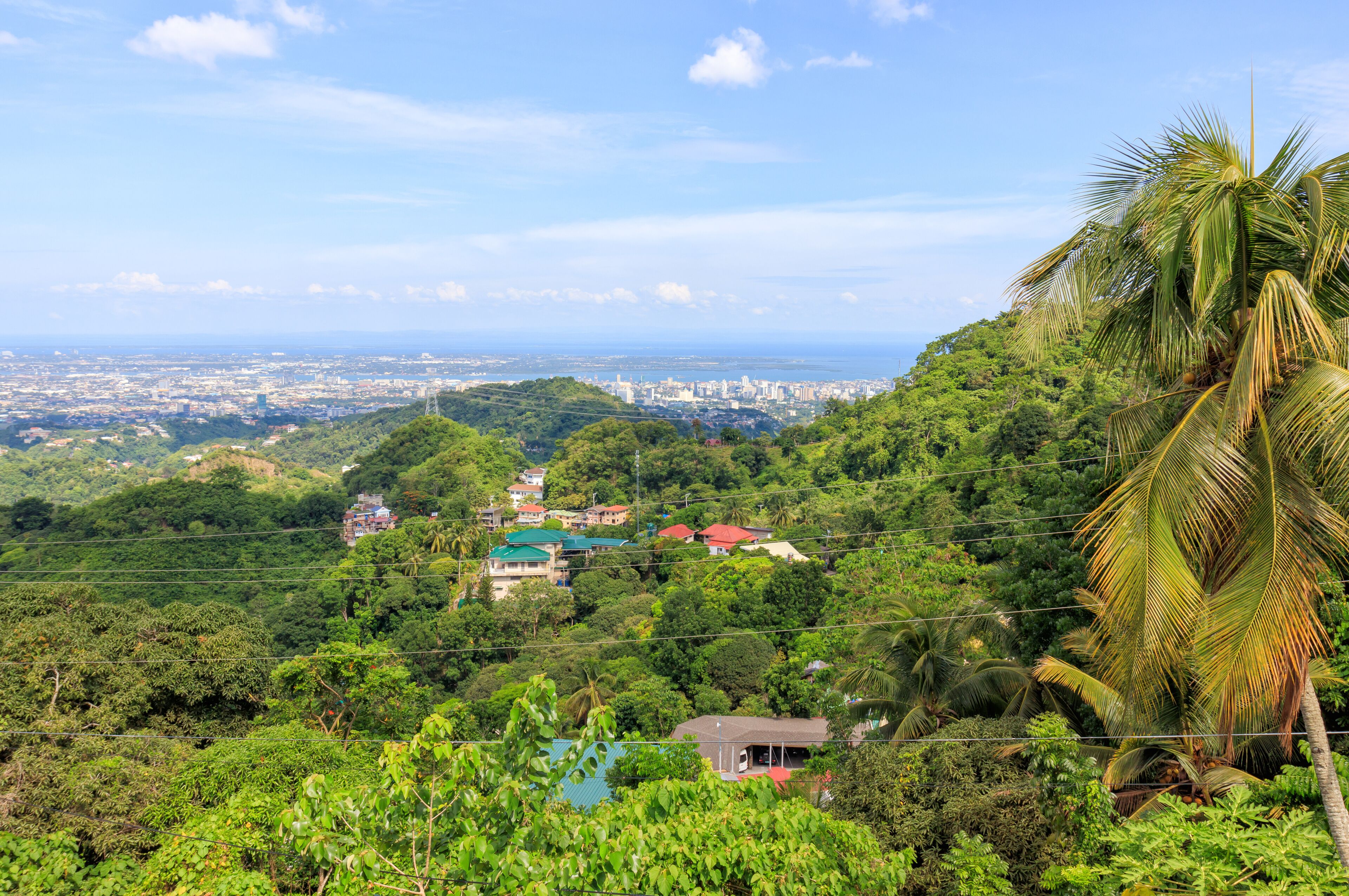 View Of Houses On Mountain In Cebu City, Philippines