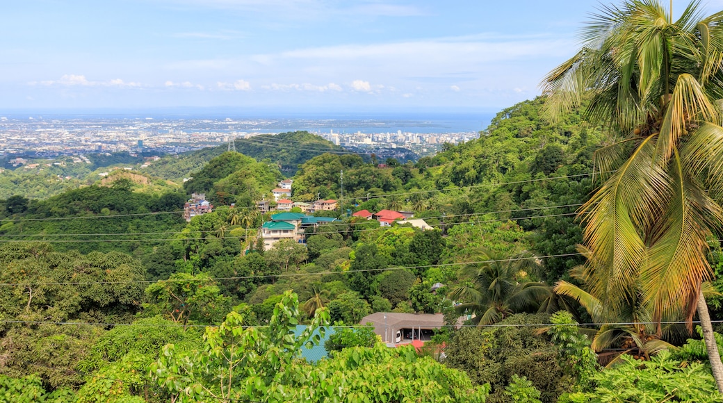 View Of Houses On Mountain In Cebu City, Philippines