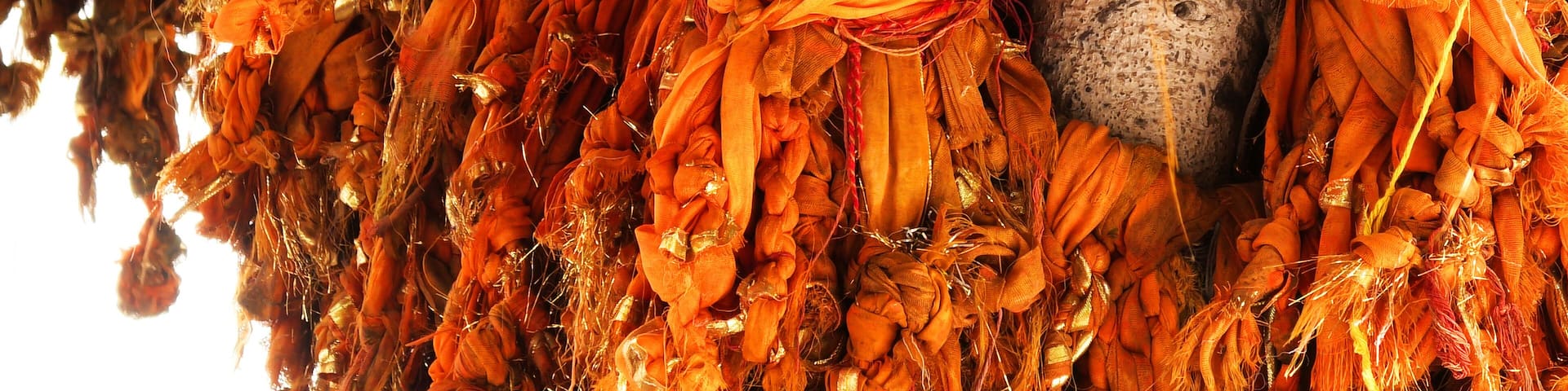 Saffron ribbons tied by devotees to trees as a sign of faith at temples in Gokul, Mathura, Uttar Pradesh, India