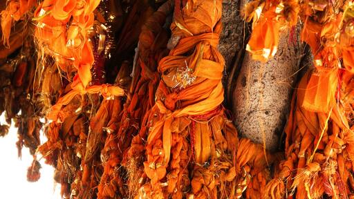 Saffron ribbons tied by devotees to trees as a sign of faith at temples in Gokul, Mathura, Uttar Pradesh, India