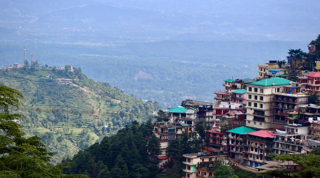 Dharamkot