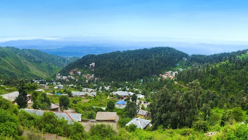 Dharamkot