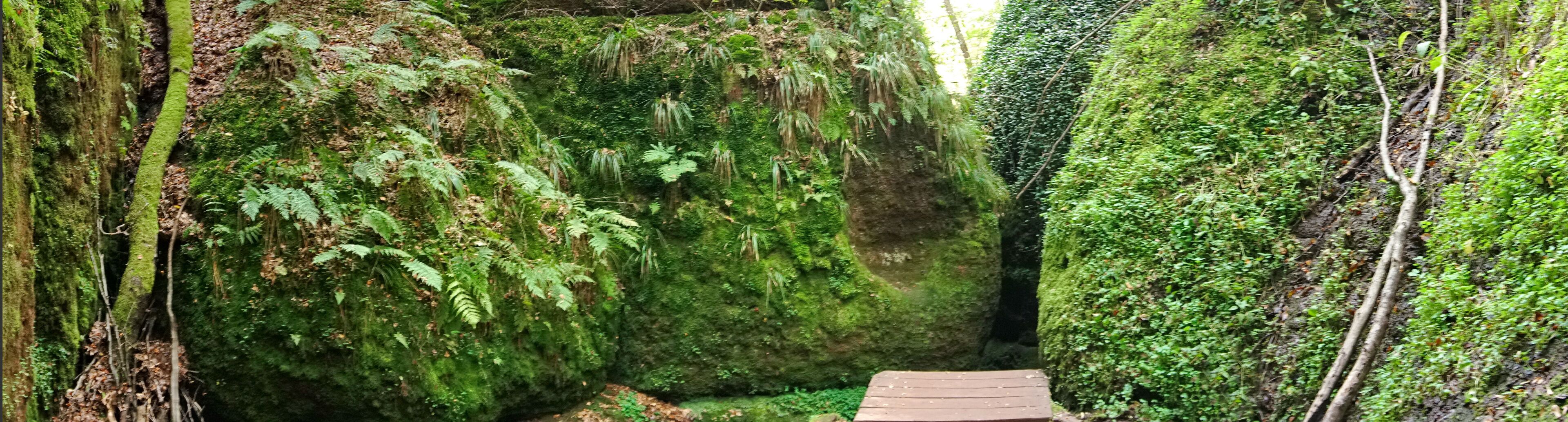 Drachenschlucht im thüringer Wald - Wanderweg im Sommer bei Eisenach