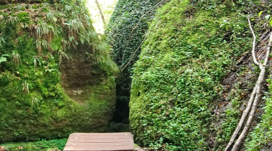 Sendero Drachenschlucht