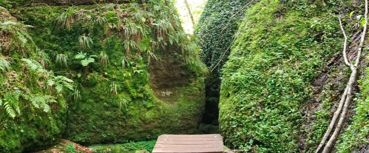 Drachenschlucht im thüringer Wald - Wanderweg im Sommer bei Eisenach
