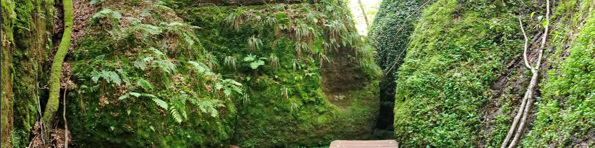 Drachenschlucht im thüringer Wald - Wanderweg im Sommer bei Eisenach