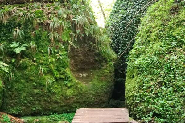 Drachenschlucht im thüringer Wald - Wanderweg im Sommer bei Eisenach