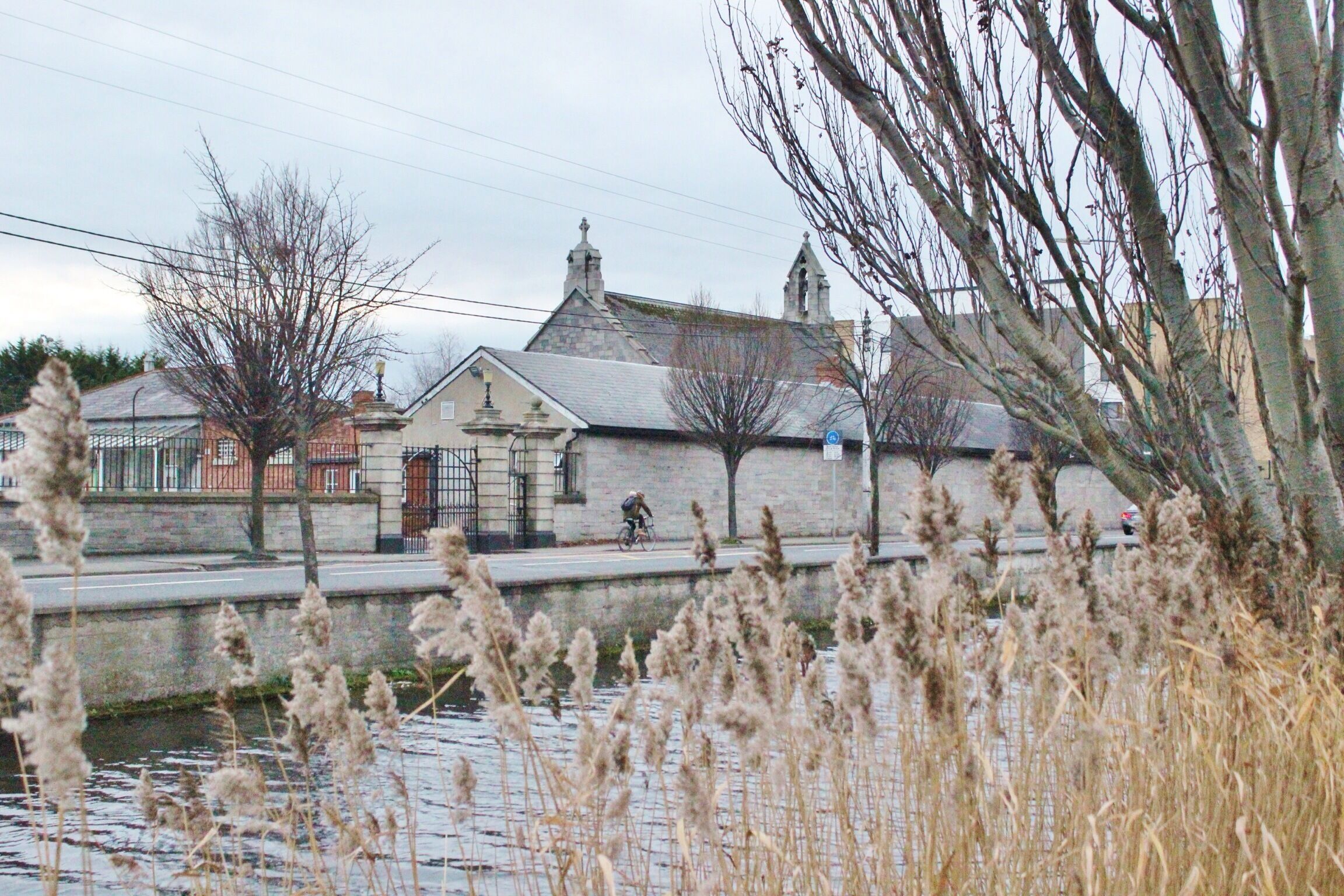 A walk along the Grand Canal near Dublin's city centre is always nice, even in winter. Watch the many swans on the water and Dublin life pass you by. 