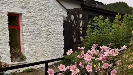 Come and see how they produce those wonderful throws!