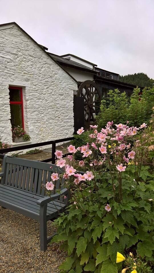 A white stone building with a red window, a wooden bench, and pink flowers in the foreground.
