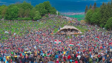A large outdoor gathering with a stage in the center surrounded by a crowd holding flags.