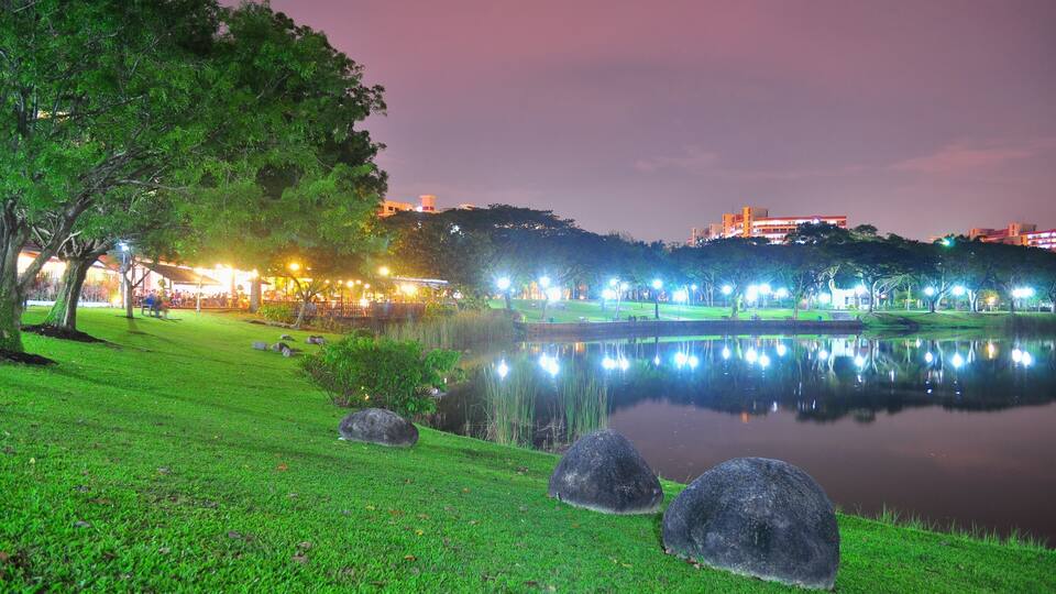 A nighttime park with a pond, trees, and illuminated buildings in the background.