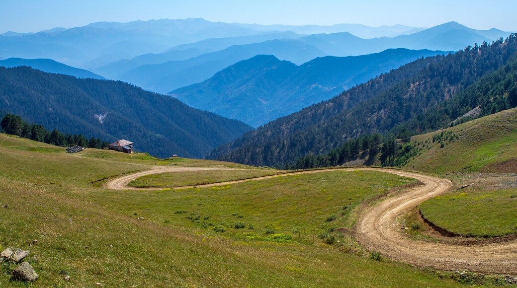 highland road over Zigana Mountain