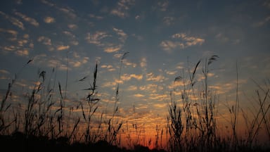 The morning sun rises over the Chobe River reeds and casts a golden glow over the new sky. #Trovember is the month to see sunsets.
