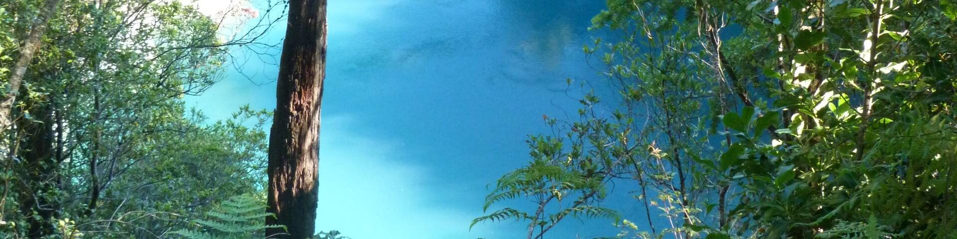 Not only is Hokitika is a lovely little town to visit and stay. There are plenty of walks in the area and a small drive away is Hokitika Gorge. It is a lovely, little walk around this amazing turquoise gorge. There's a fun suspension bridge and plenty of birdlife around making it a rather magical experience. Go early and have the place to yourself! #Trovember