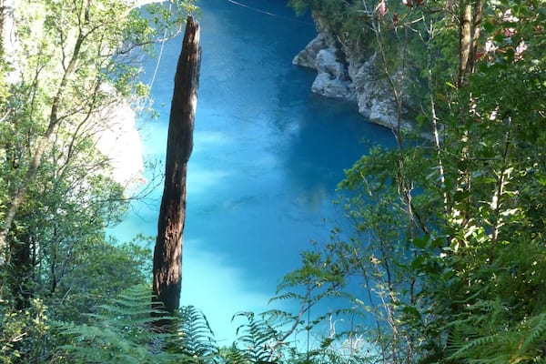 Not only is Hokitika is a lovely little town to visit and stay. There are plenty of walks in the area and a small drive away is Hokitika Gorge. It is a lovely, little walk around this amazing turquoise gorge. There's a fun suspension bridge and plenty of birdlife around making it a rather magical experience. Go early and have the place to yourself! #Trovember