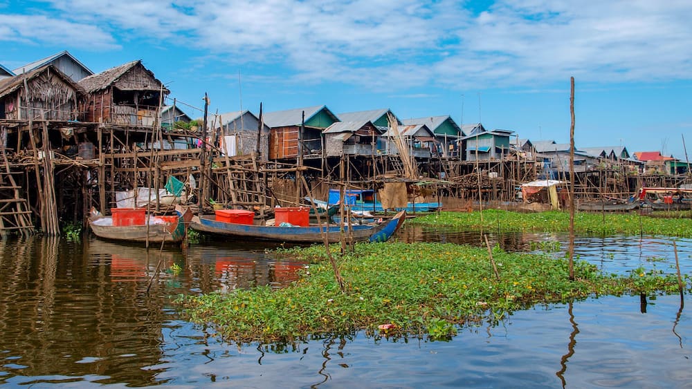 See Tonle Sap in Kambodscha: Panorama von Häusern im Wasser auf Stelzen mit grünen Wasserpflanzen
