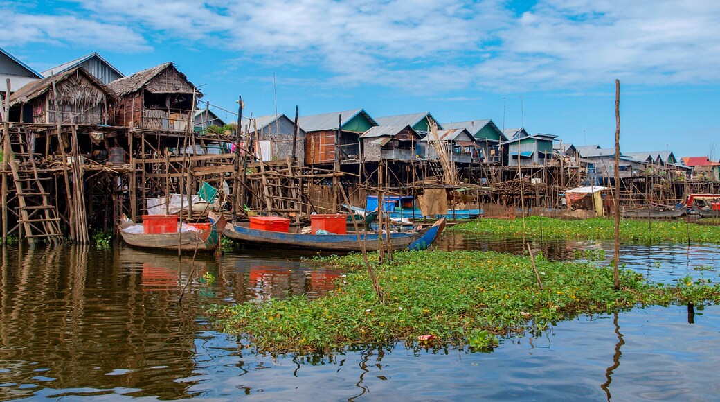 See Tonle Sap in Kambodscha: Panorama von Häusern im Wasser auf Stelzen mit grünen Wasserpflanzen