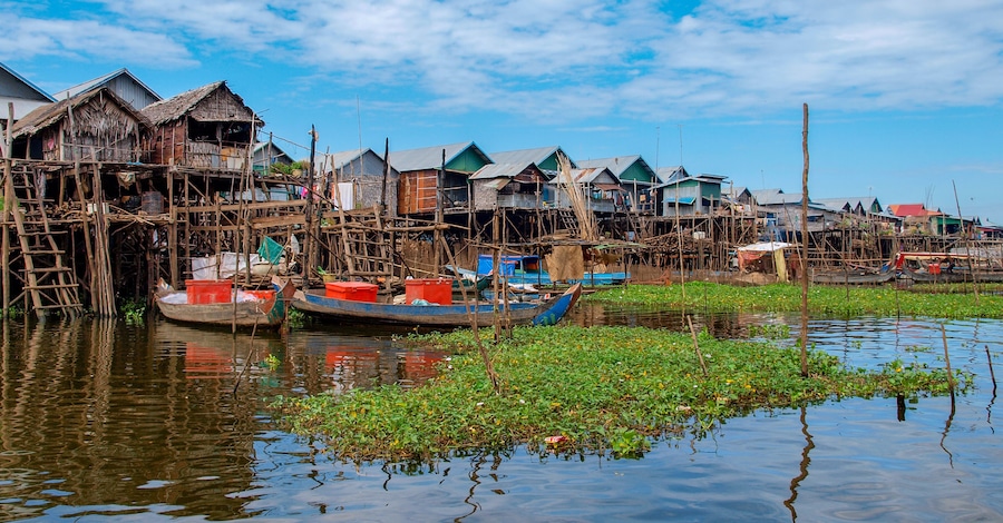 See Tonle Sap in Kambodscha: Panorama von Häusern im Wasser auf Stelzen mit grünen Wasserpflanzen